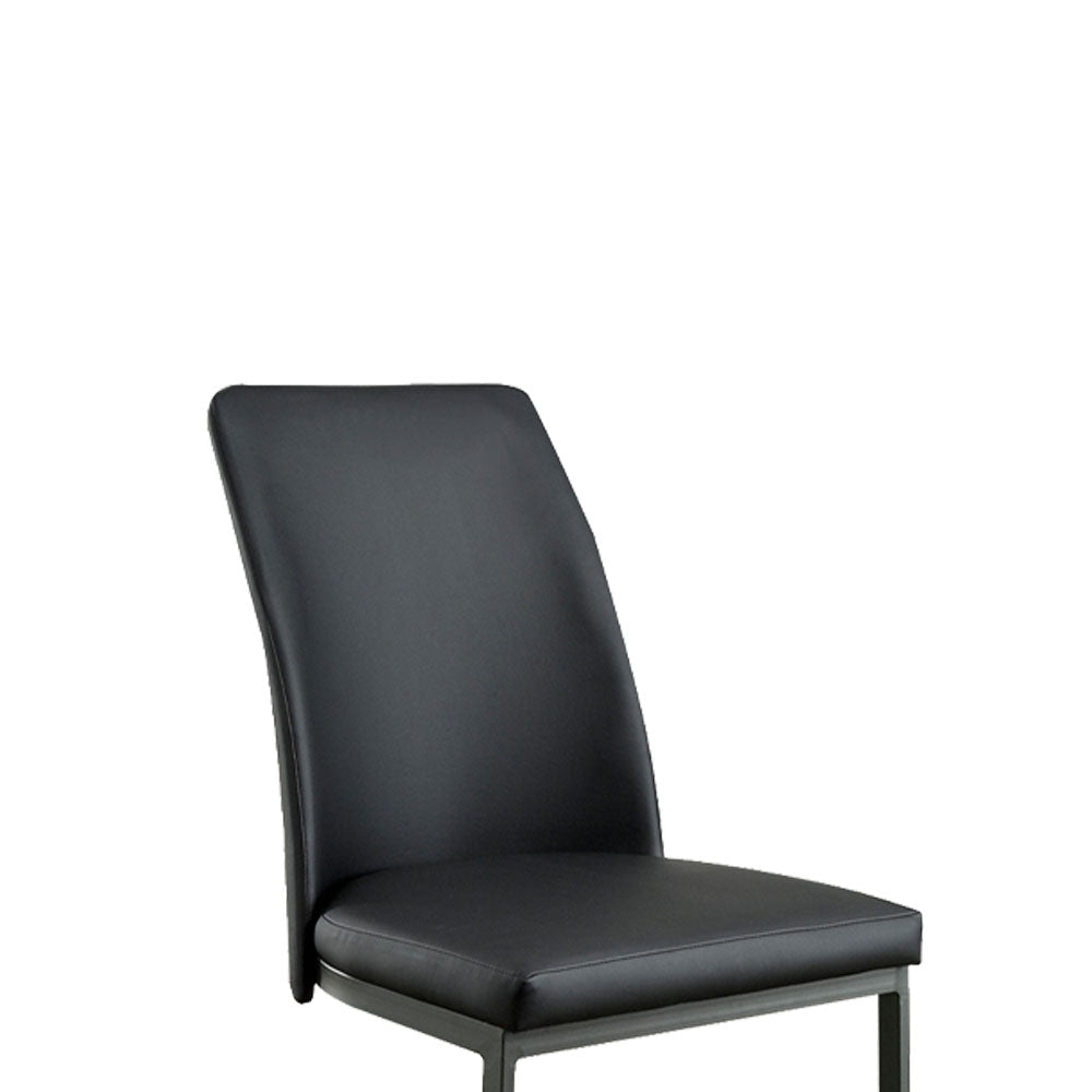 Saskia Side Chair (2/CTN) in Dark Gray/Black finish