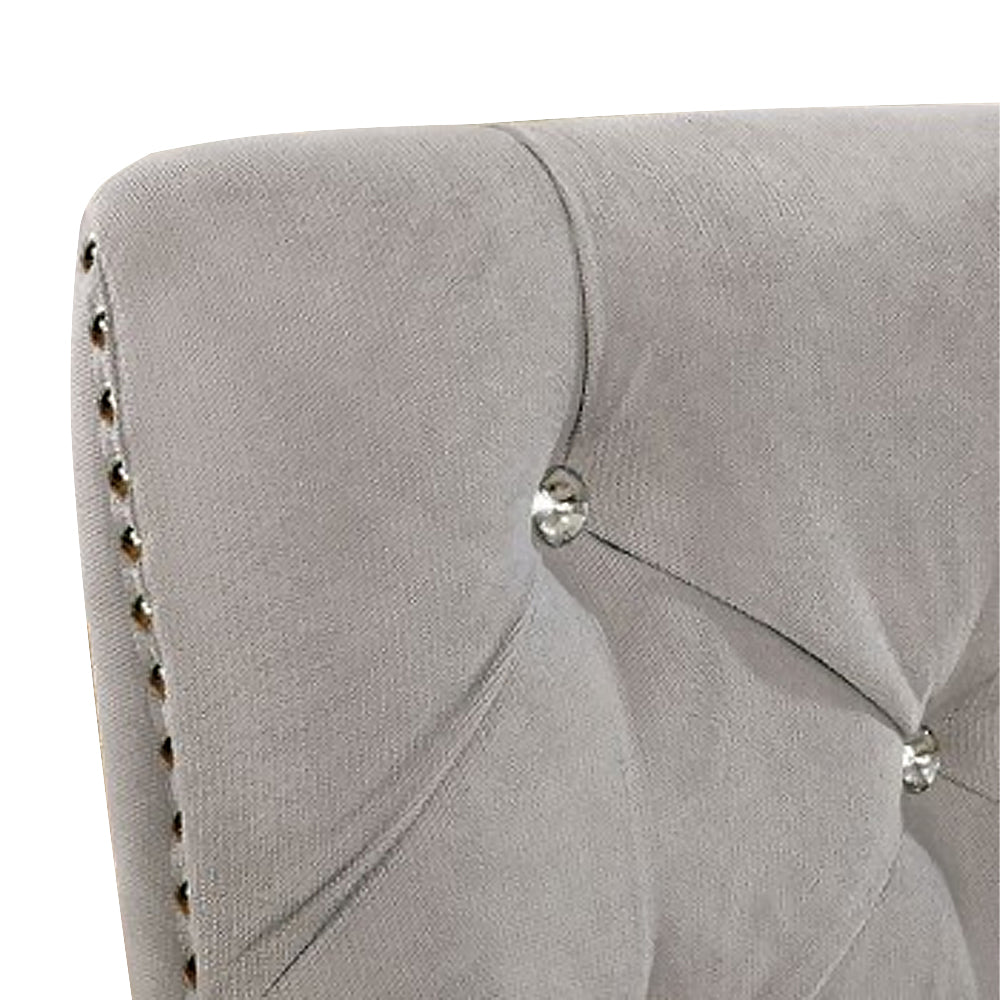 DIOCLES Side Chair (2/CTN) in Silver/Light Gray finish