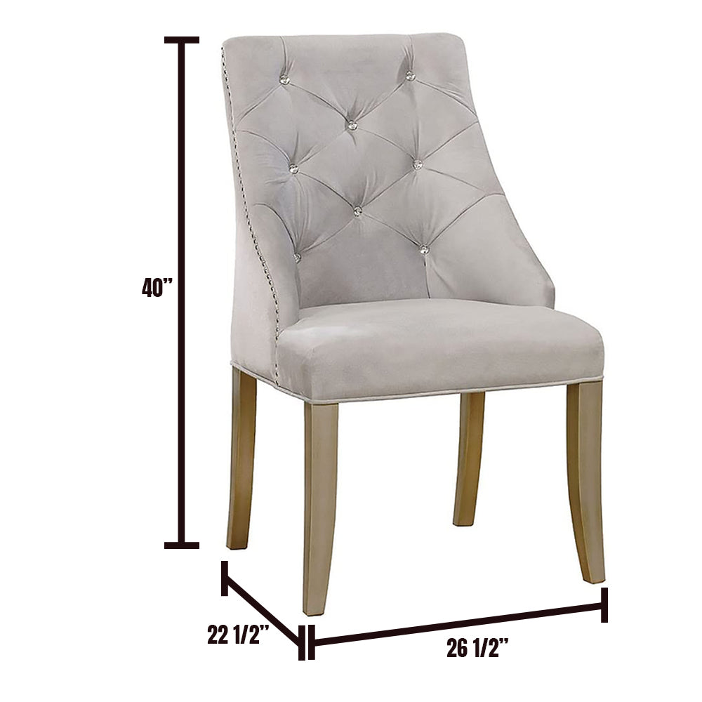 DIOCLES Side Chair (2/CTN) in Silver/Light Gray finish