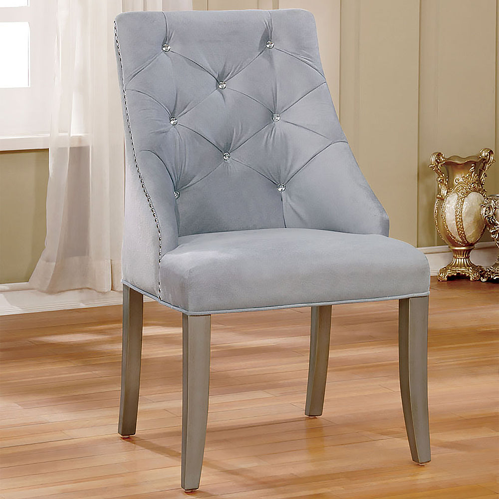 DIOCLES Side Chair (2/CTN) in Silver/Light Gray finish