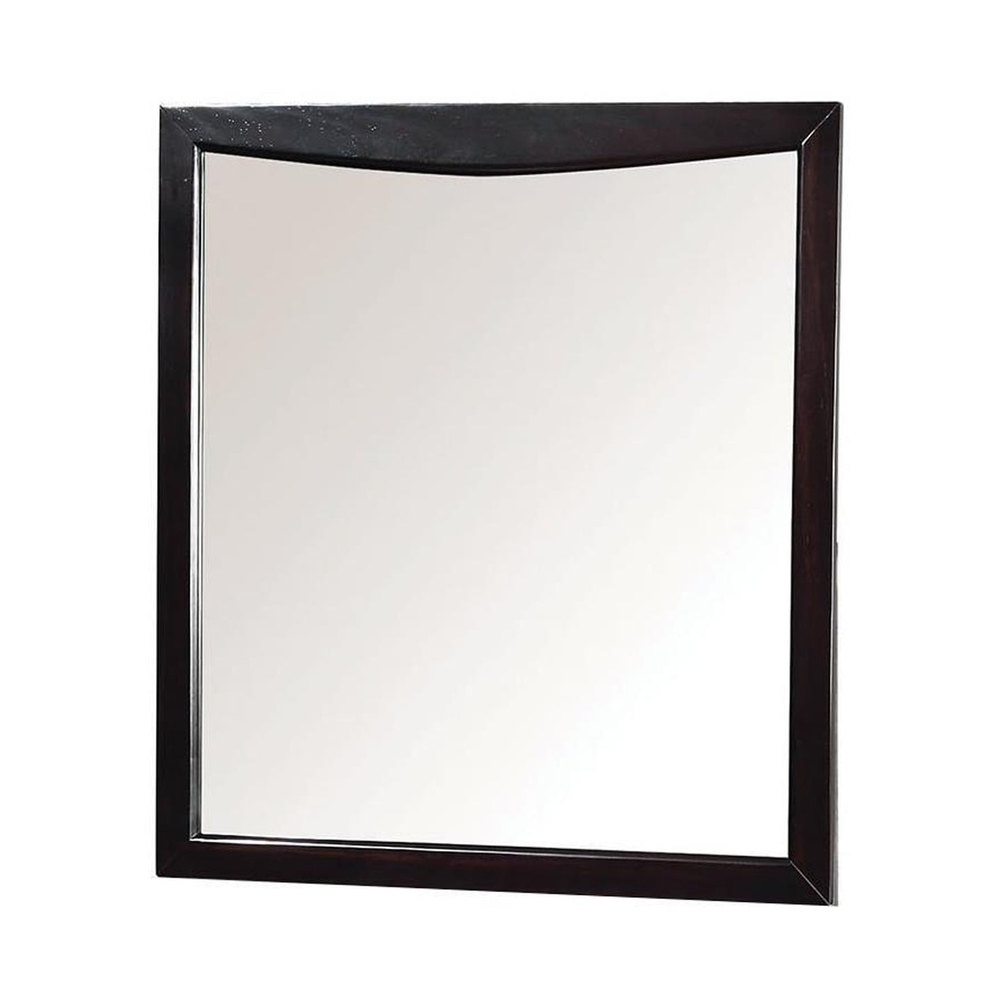 SNYDER Mirror in Espresso Finish
